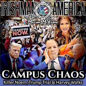 College Campus Chaos, Kristi The Dog Killer & Donald's Big Problem - Irishman In America