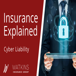 Insurance Explained | Cyber Liability Insurance Benefits