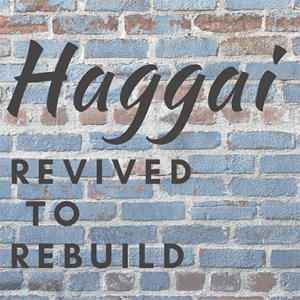 When the Lord Stirs Things Up - Haggai: Revived to Rebuild