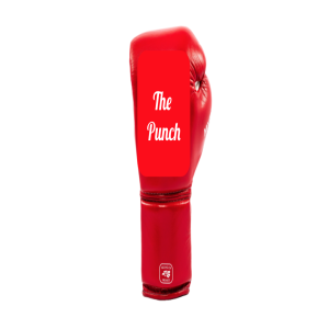 The Punch Ep 1 Ricky Frausto