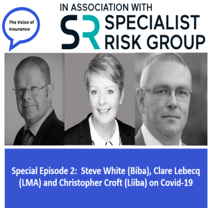 Special Episode: Biba, the LMG and Liiba respond to Covid-19 