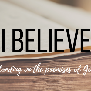 I Believe: The Promises of Israel - Tod McDowell