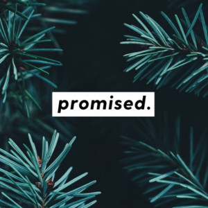 Promised: Believe - Keith Roberson