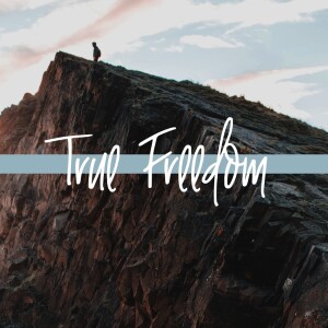 True Freedom: The Veil and the Stone - Keith Roberson