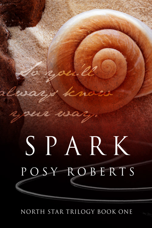 Spark by Posy Roberts - Ch 4
