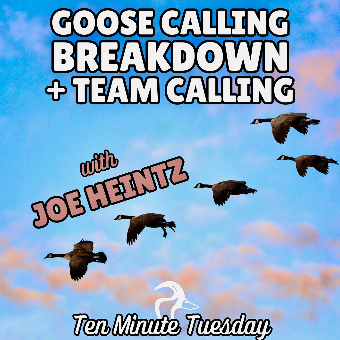 Joe Heintz; Goose Calling Breakdown + Team Calling