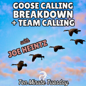 Joe Heintz; Goose Calling Breakdown + Team Calling