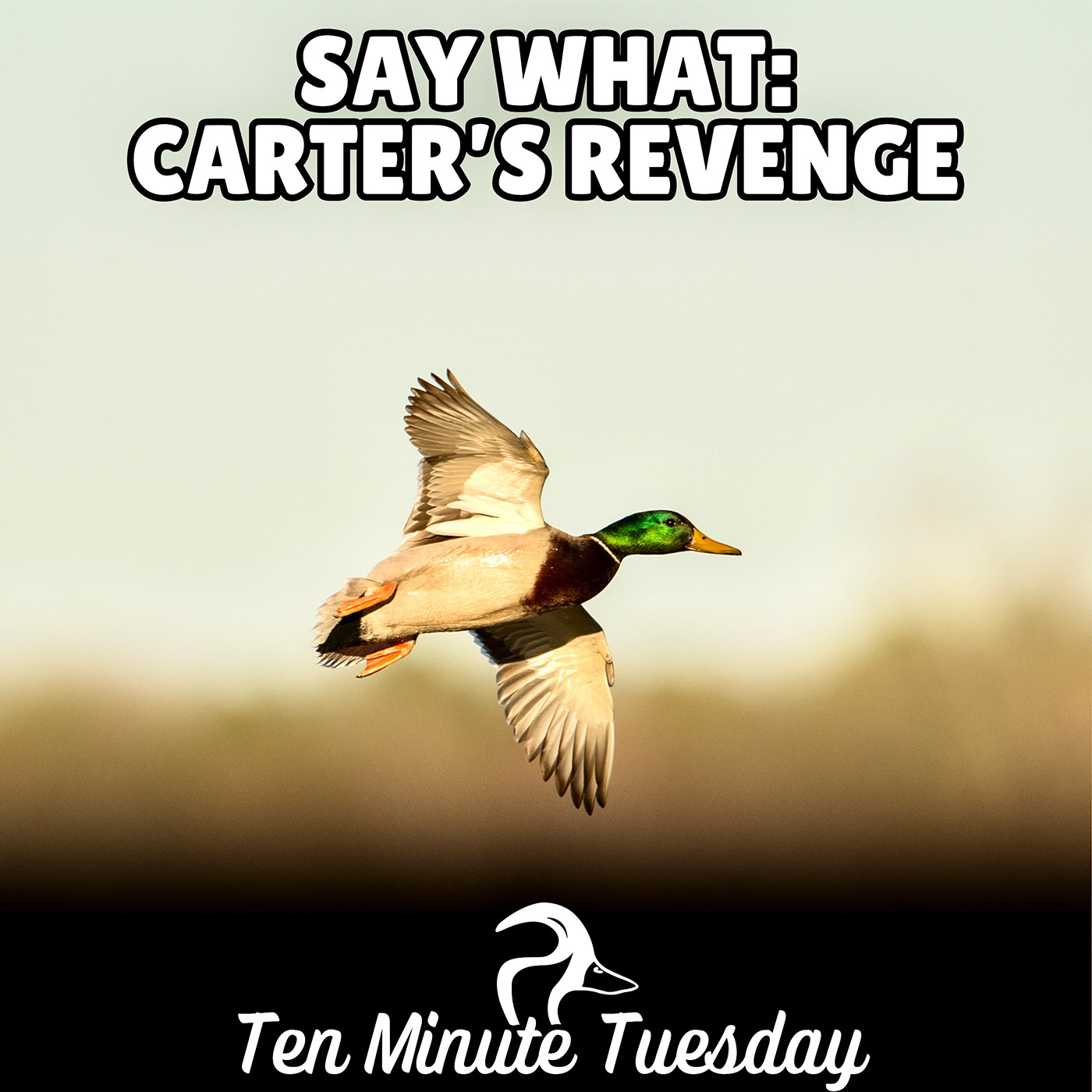 Say What: Carter’s Revenge