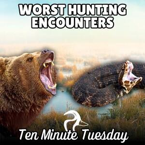 Worst Hunting Animal Encounters