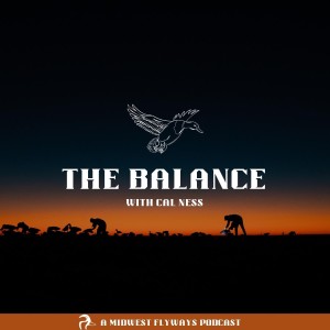 The Balance (A Beauty of a Boat, Micah Ness Insight)