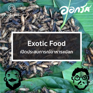 ออกรส | EP. 27 |  Exotic Food - เปิดประสบการณ์อาหารแปลก - The Cloud Podcast