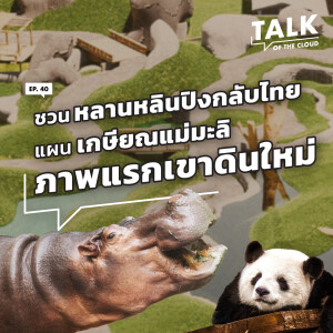 Talk of The Cloud | EP. 40 | เปิดภาพสวนสัตว์ใหม่คลองหก ความลับหมูเด้ง เอวา และการกลับมาของหลานหลินปิง - The Cloud Podcast