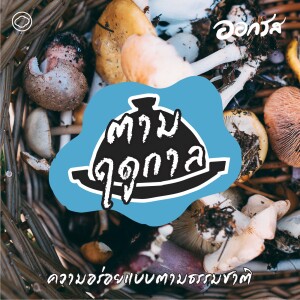 ออกรส | EP. 86 | ตามฤดูกาล : ความอร่อยแบบตามธรรมชาติ - The Cloud Podcast