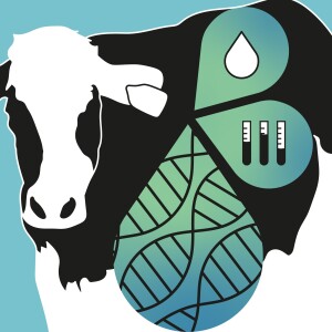 BALADO - Production laitière : Litière de fumier recyclée