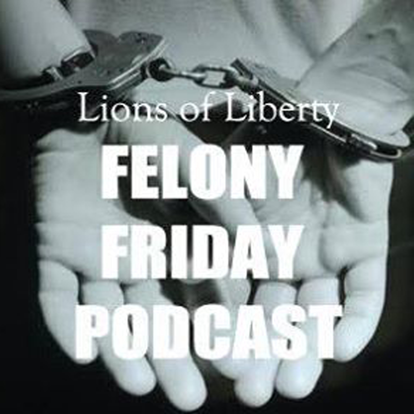 Felony Friday 040 - Michael Wood, Jr. Discusses BLM, Drug War and Gun Control