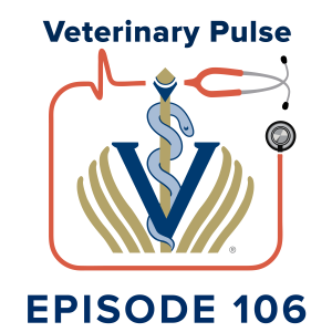 Veterinary school application strategies with Kamira Patel