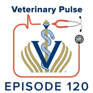 Dr. Bronwyn Fullagar on practicing veterinary medicine around the world and the importance of humor