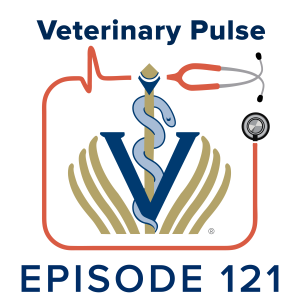 Dr. Serena Nayee on the cultural difference between animal and human medicine, and her quest to improve inclusive advocacy