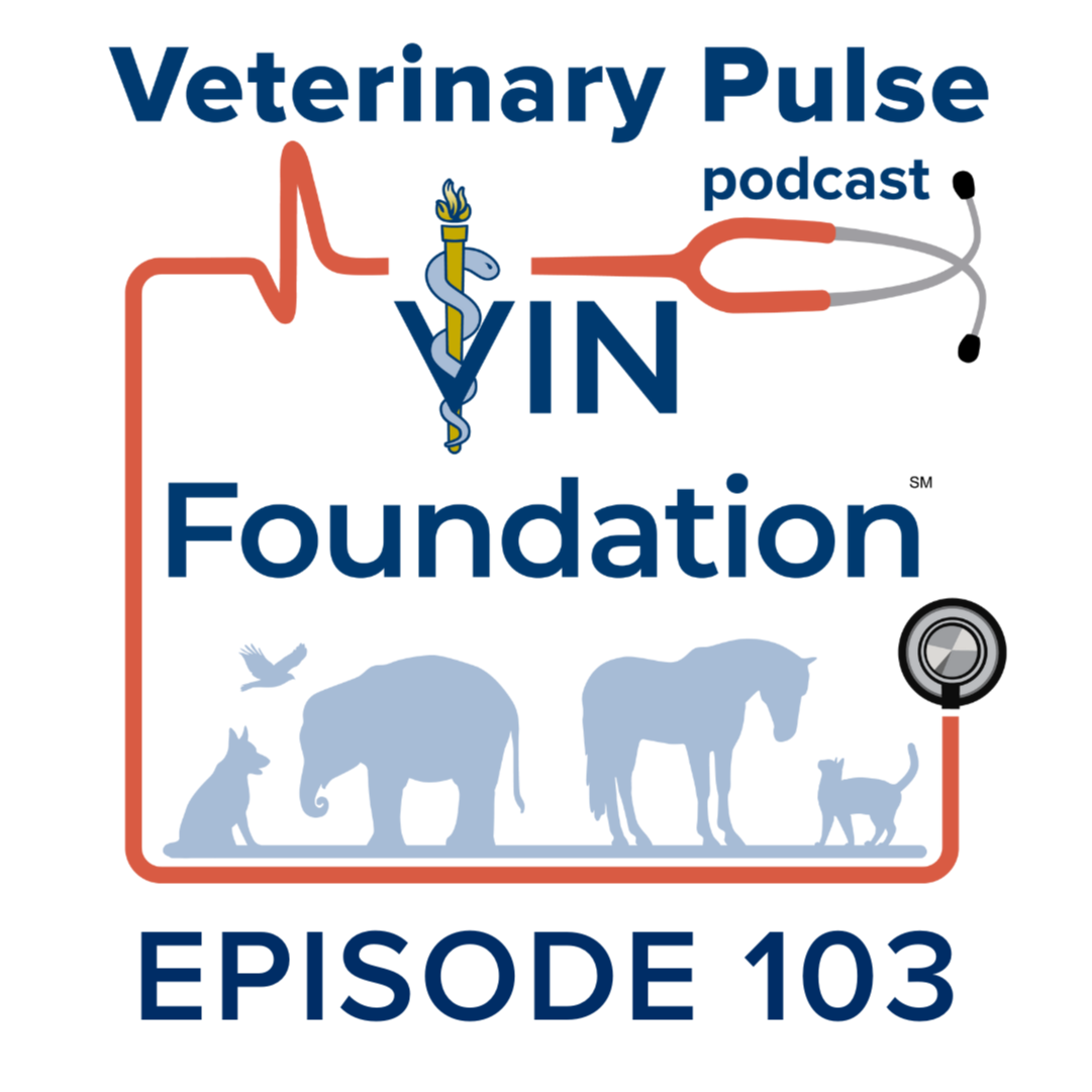 VIN Foundation: Veterinary Pulse