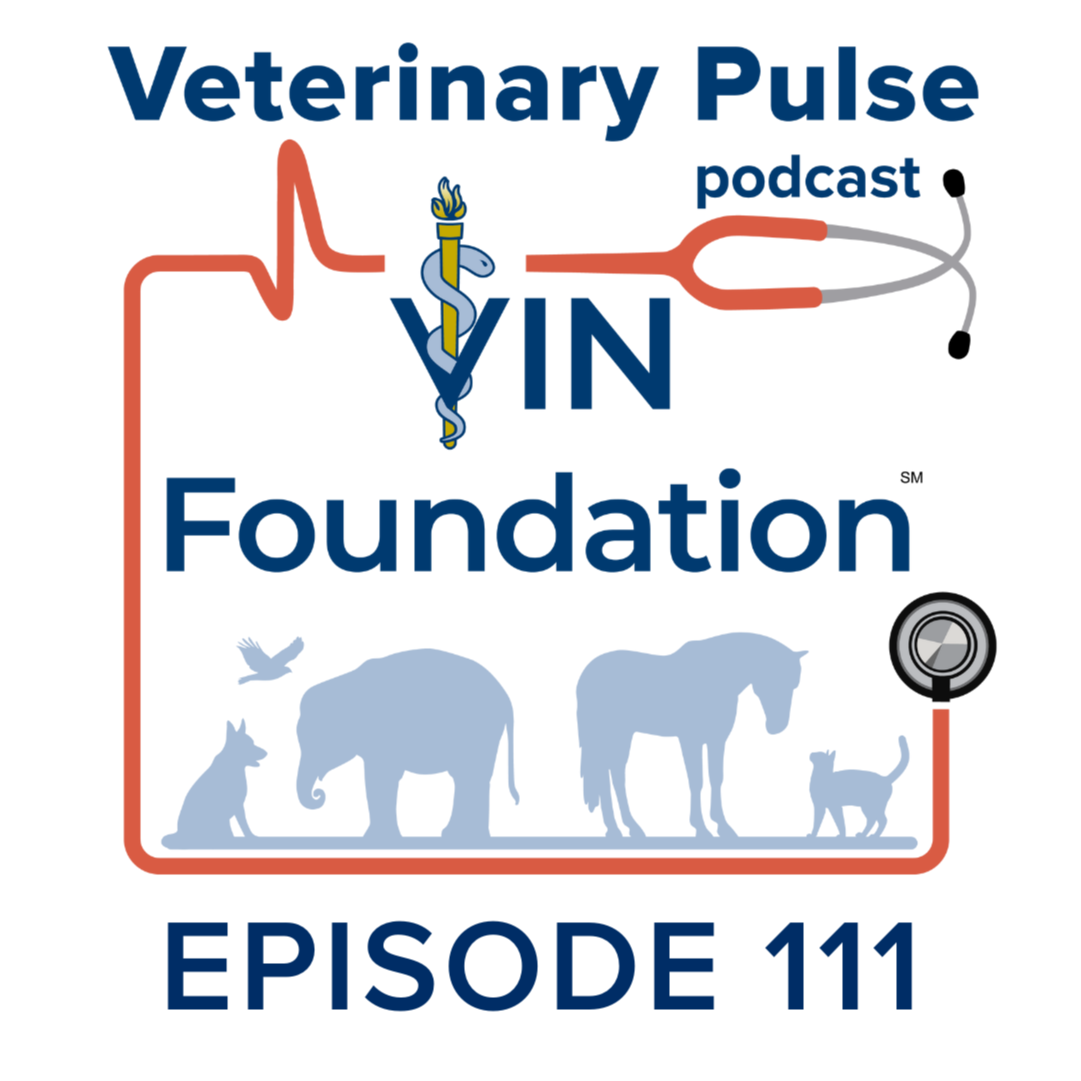 VIN Foundation: Veterinary Pulse
