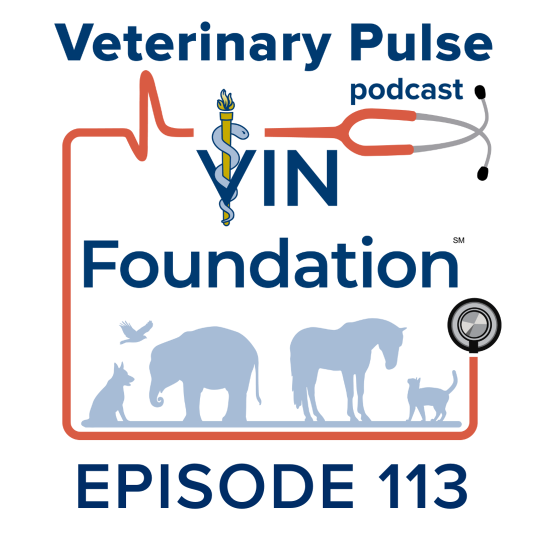 VIN Foundation: Veterinary Pulse