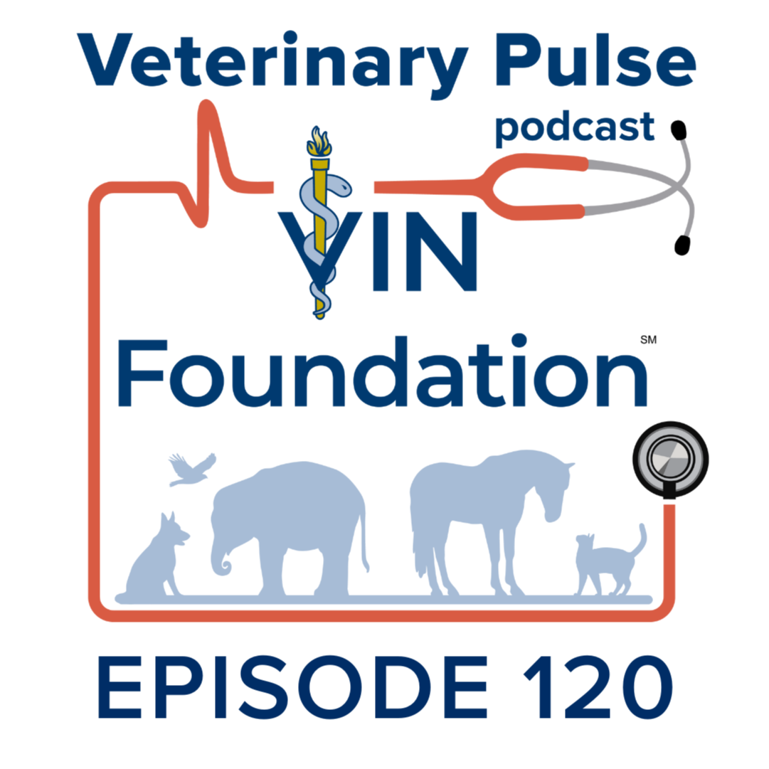 VIN Foundation: Veterinary Pulse