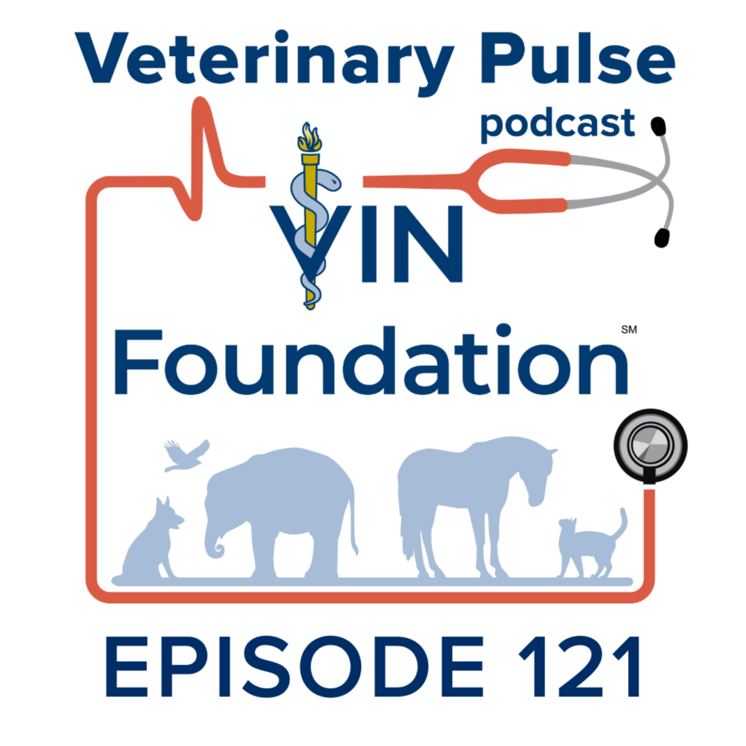 VIN Foundation: Veterinary Pulse