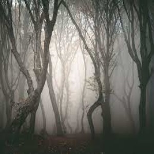 Episode 111 - Haunted Forests