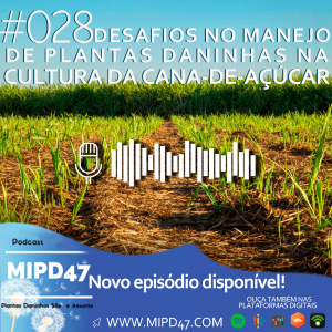 MIPD47 #028_Impacto das Plantas Daninhas na Cultura da Cana-de-açúcar