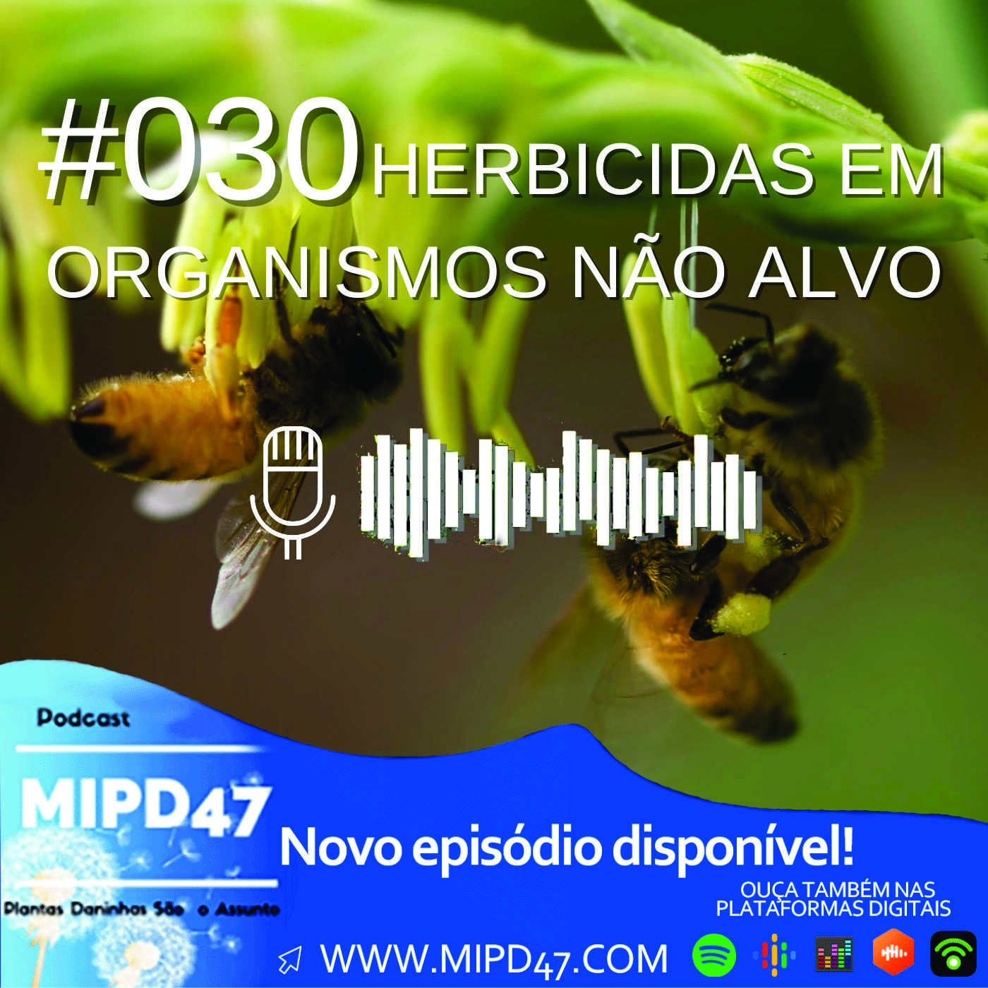 MIPD47