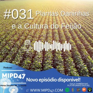 MIPD47 #031_Plantas Daninhas e a Cultura do Feijão