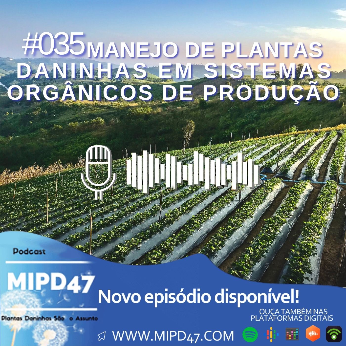 MIPD47