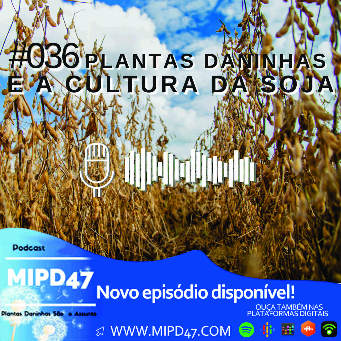MIPD47