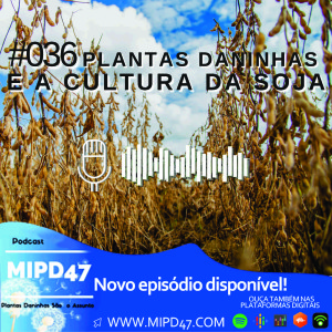 MIPD47 #036_Plantas Daninhas e a Cultura da Soja