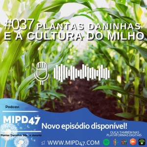 MIPD47 #037_Plantas Daninhas e a Cultura do Milho