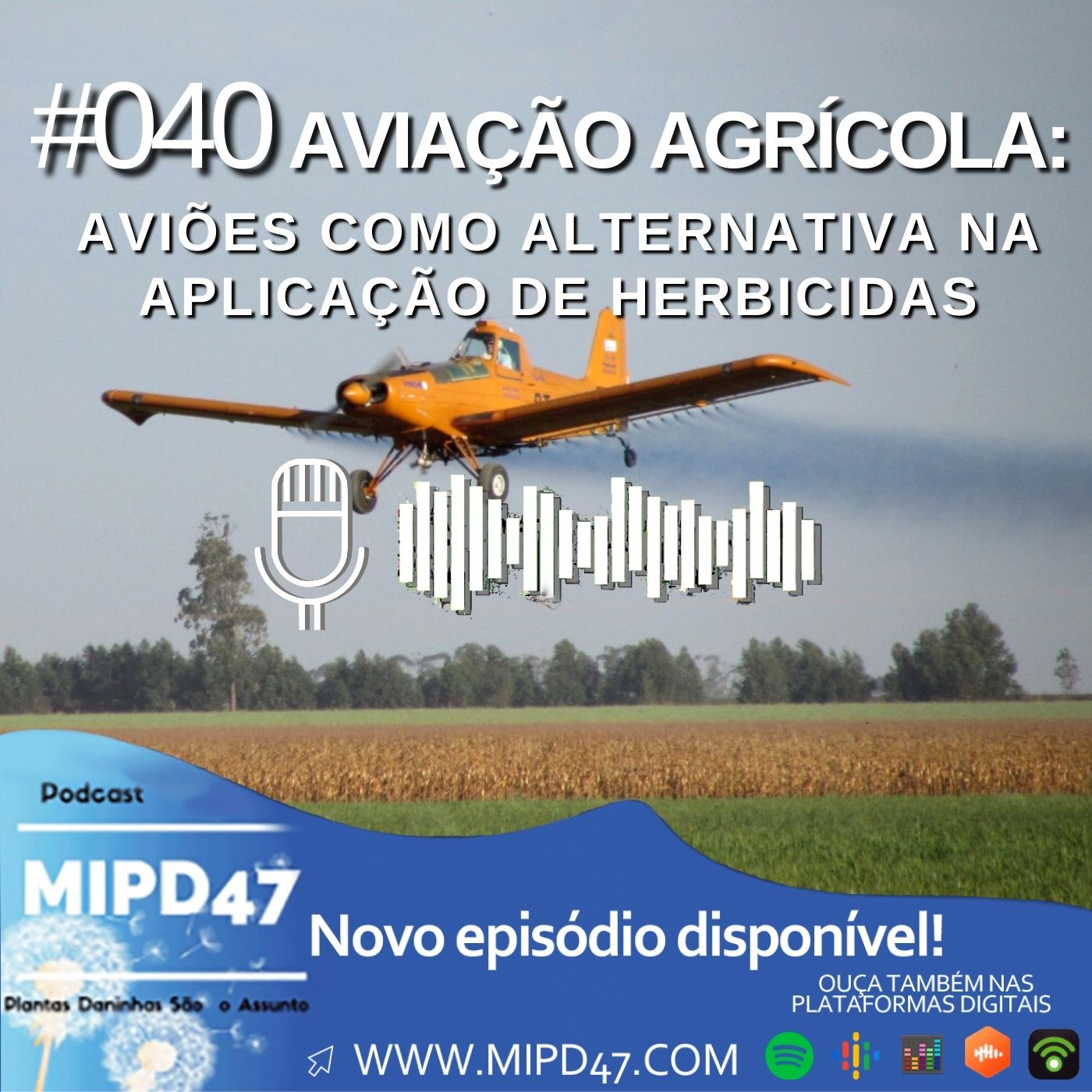 MIPD47