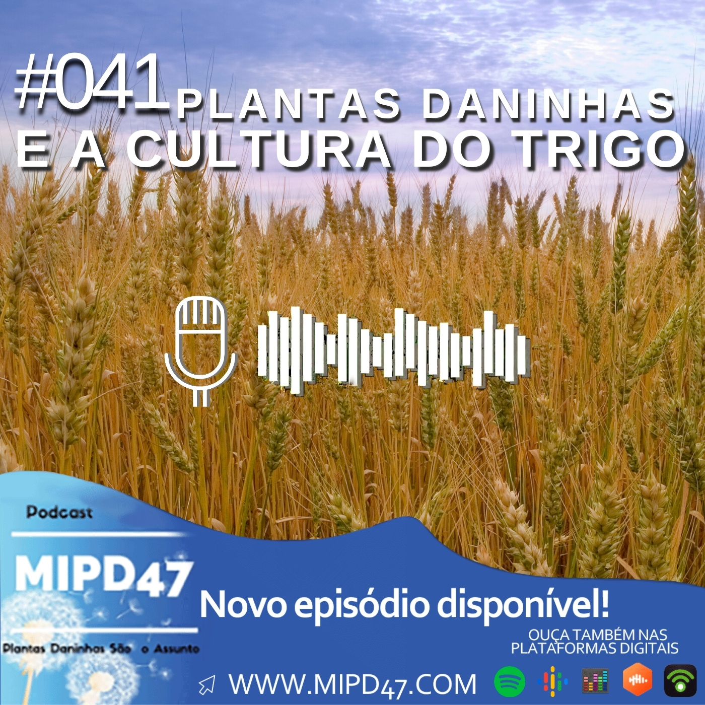 MIPD47