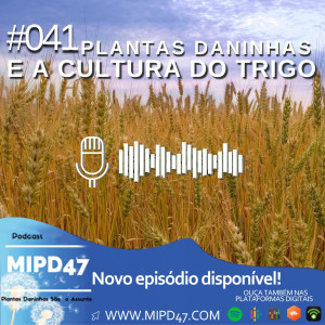 MIPD47 #041_Plantas daninhas e a cultura do Trigo