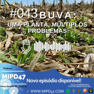 MIPD47 #043_Buva: Uma planta, múltiplos problemas
