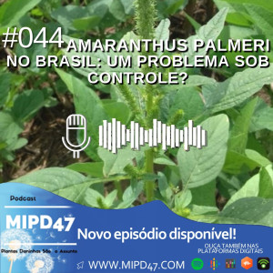 MIPD47 #044_Amaranthus palmeri no Brasil: Um problema sob controle?