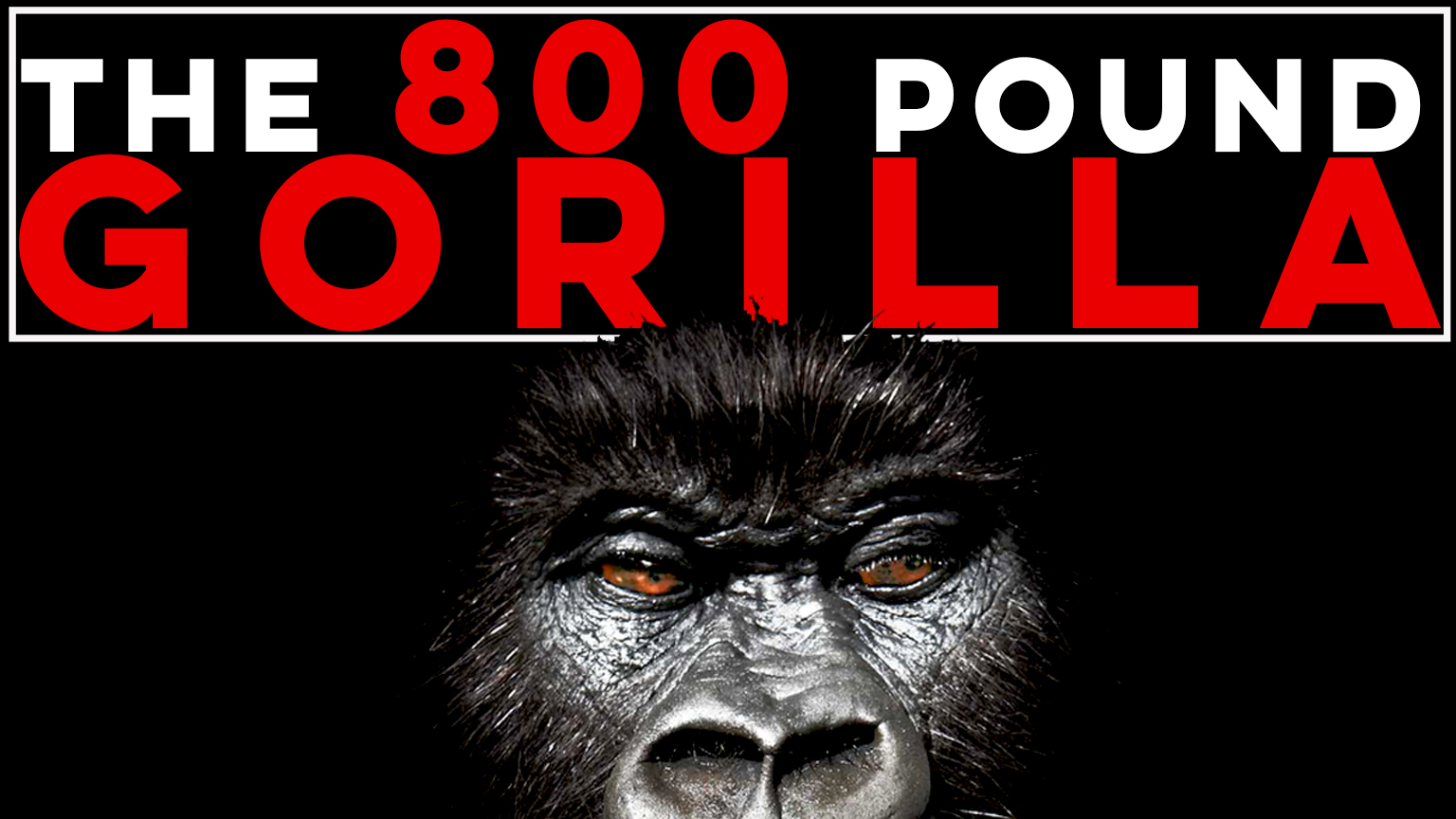 The 800 Pound Gorilla Part 5