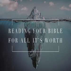 Reading Your Bible for all it's Worth - Week 2
