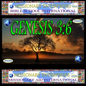 EP272 Genesis 3:6