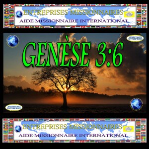 EP273 Genèse 3:6