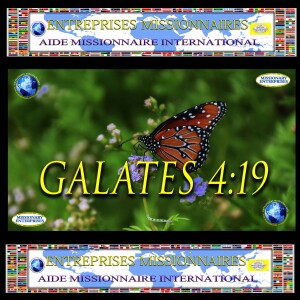 EP277 Galates 4:19