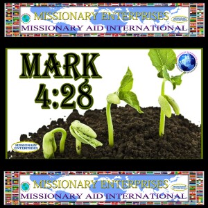 EP286 Mark 4:28