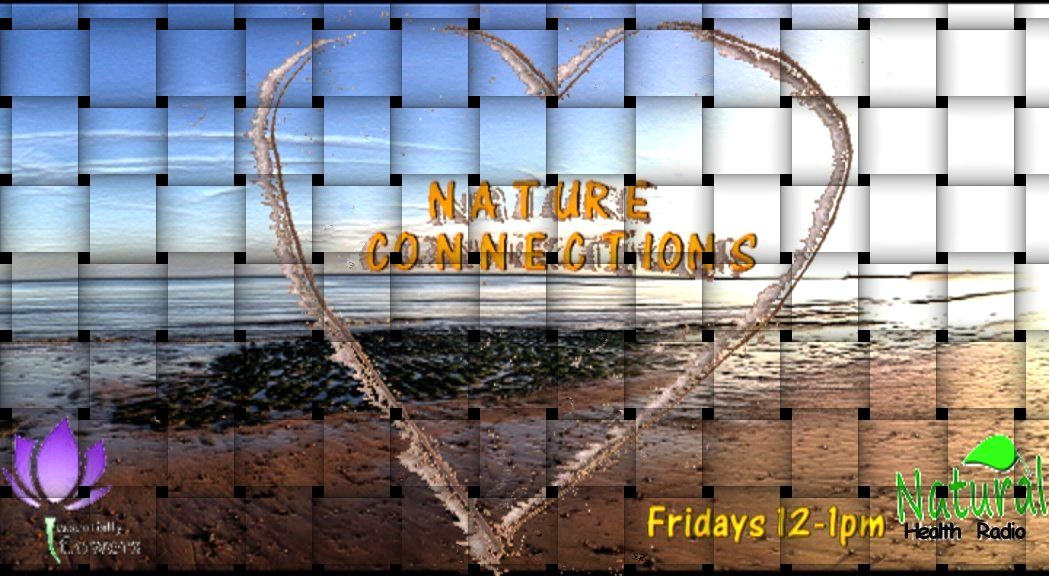 Rosana Souto Nature Connections Show Feb 20th 2014