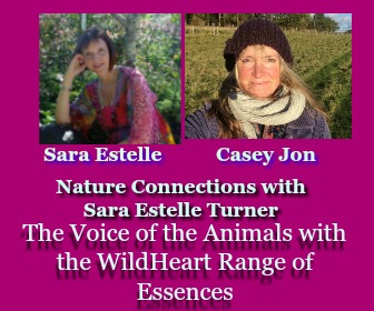 The Voice of the Animals with Casey Jon and Sara Estelle Turner