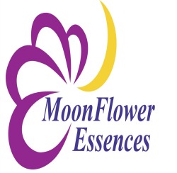 Flower Essences for your Garden