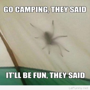 Year 5 Camp